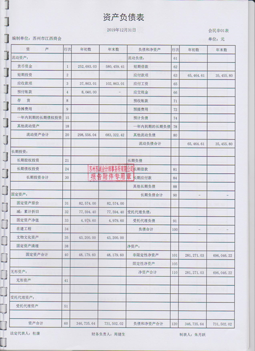 2019审计报告 003_副本.jpg