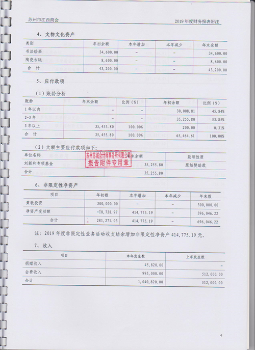 2019审计报告 009_副本.jpg